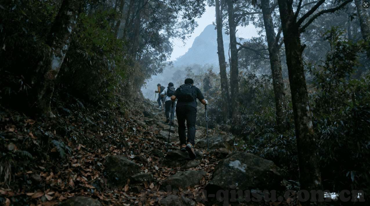 个人澳门赌场视频-澳门赌场视频，个人视角的娱乐体验